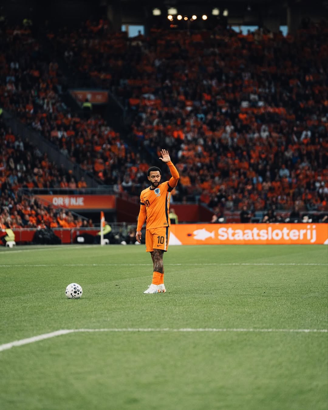 entit, 荷兰在世预