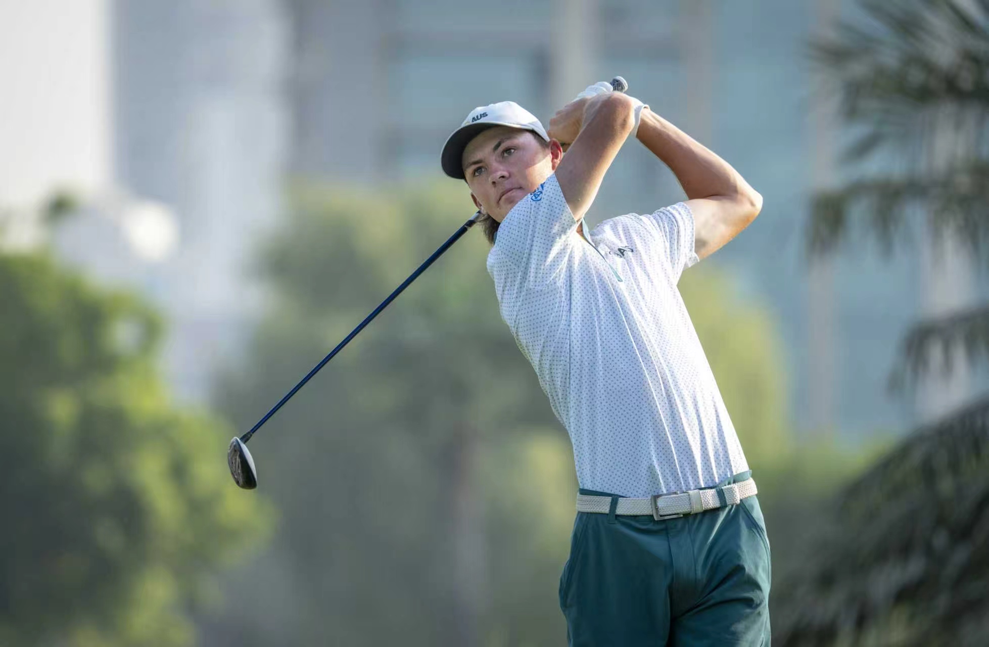 成绩打下来, entit, 余锦标赛的